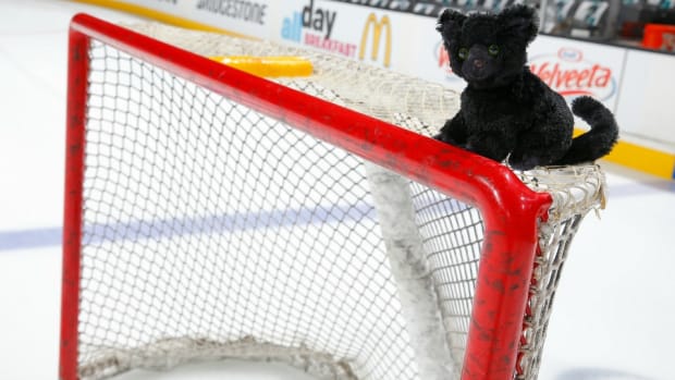san-jose-sharks-black-cat-cam.jpg